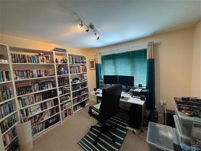 Picture 12